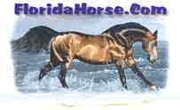 Click here to go to Florida Horse.com