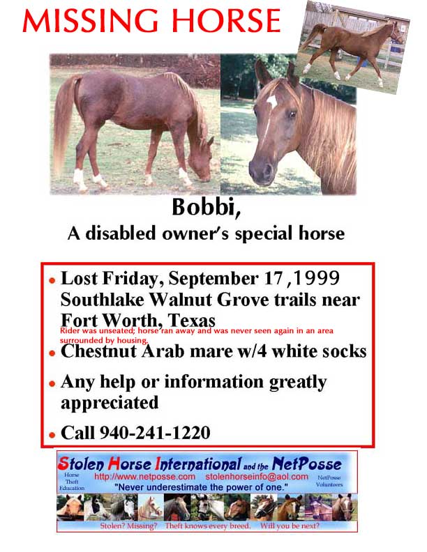 Click PRINT button to print. Click flyer to go to SHI main page.