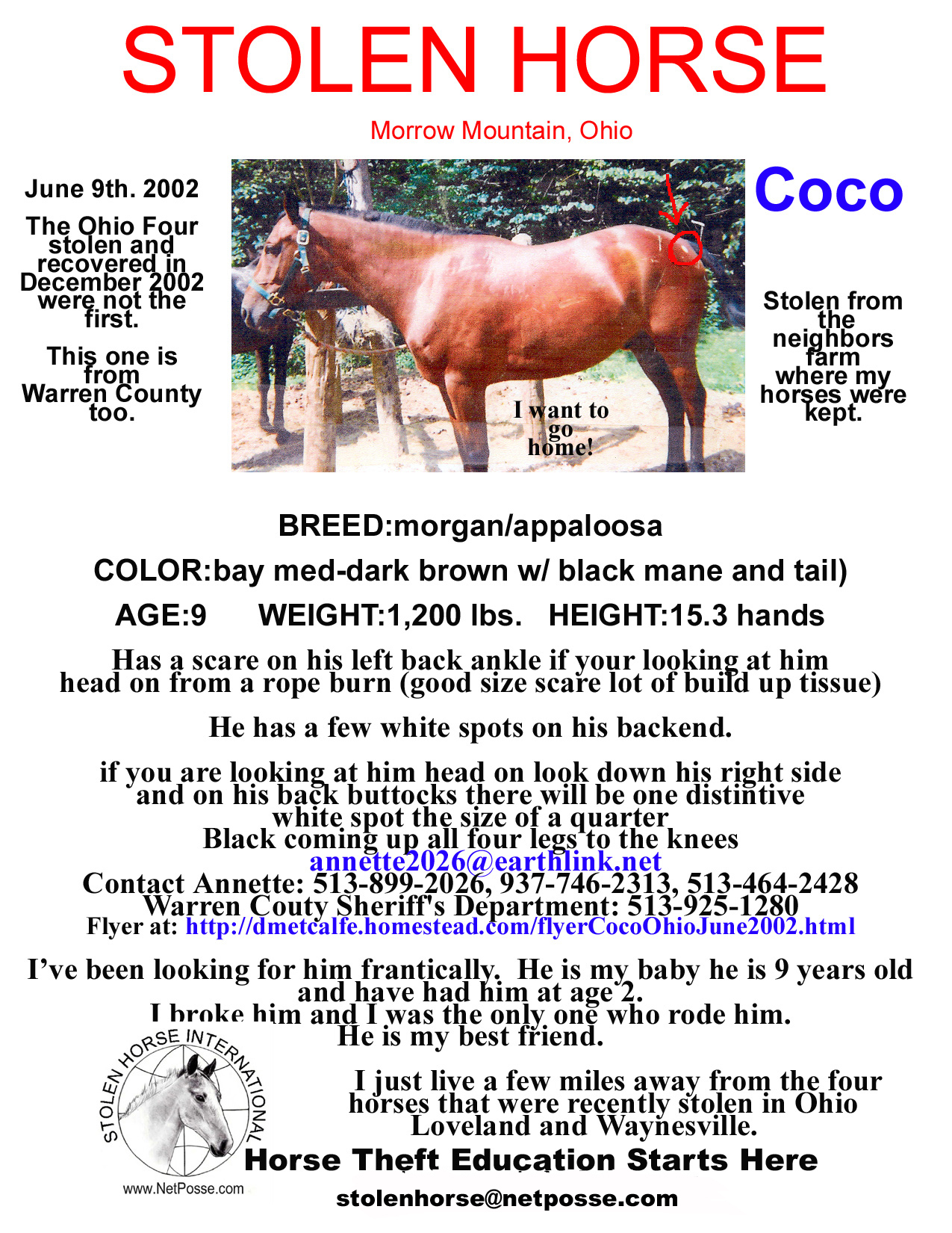 Click on PRINT to print flyer.  Click on flyer to go to SHI main page.