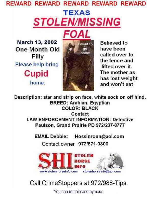 Click on Print icon to print flyer. Click on flyer to go to SHI home page.