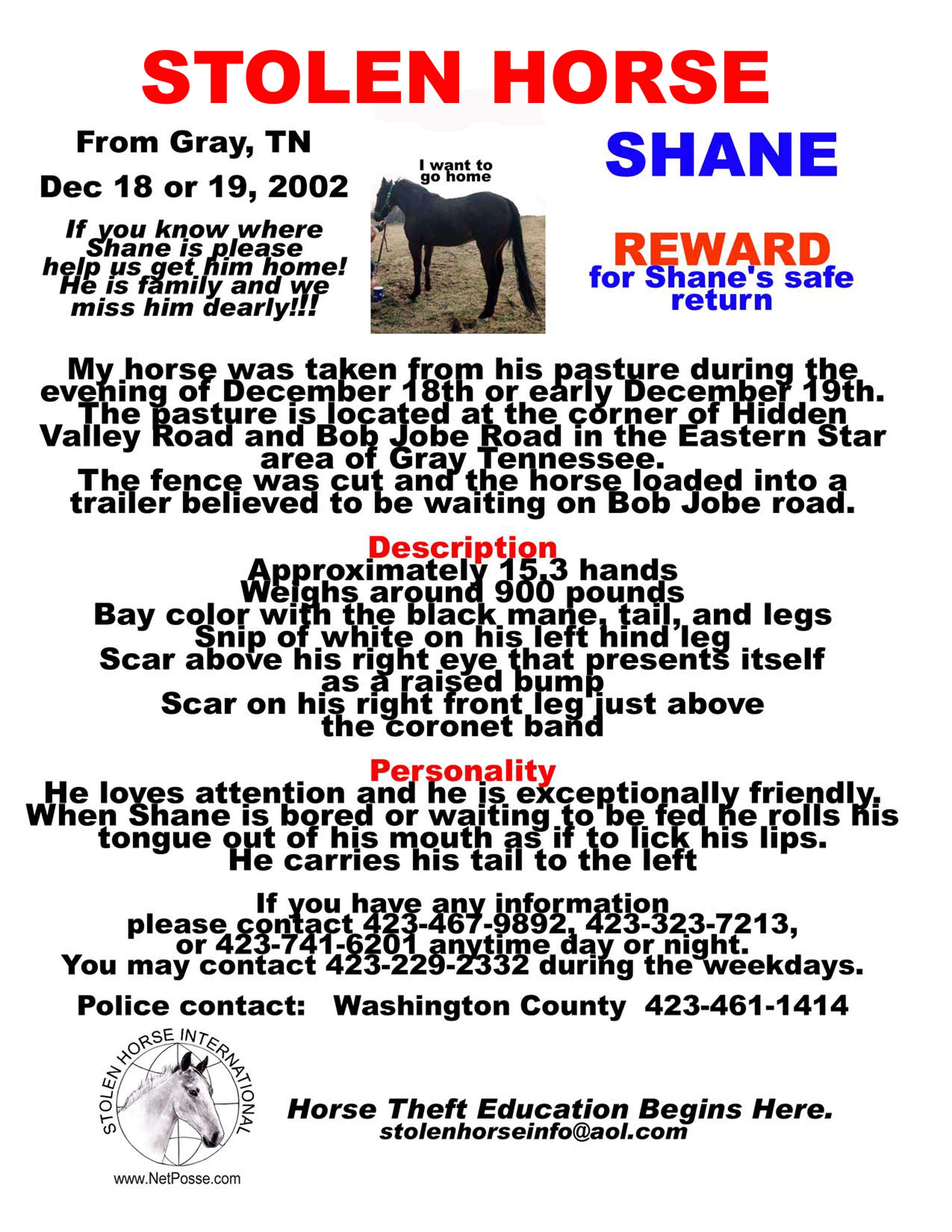 Click on PRINT to print fllyer.  Click on flyer to go to SHI home page.