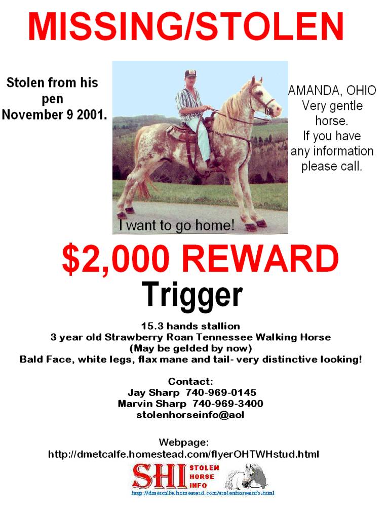 Click on flyer to go to home page.