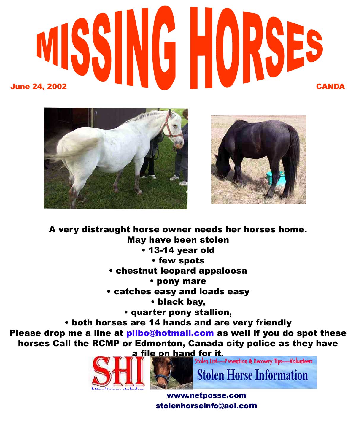Click on Flyer to go to SHI home page.