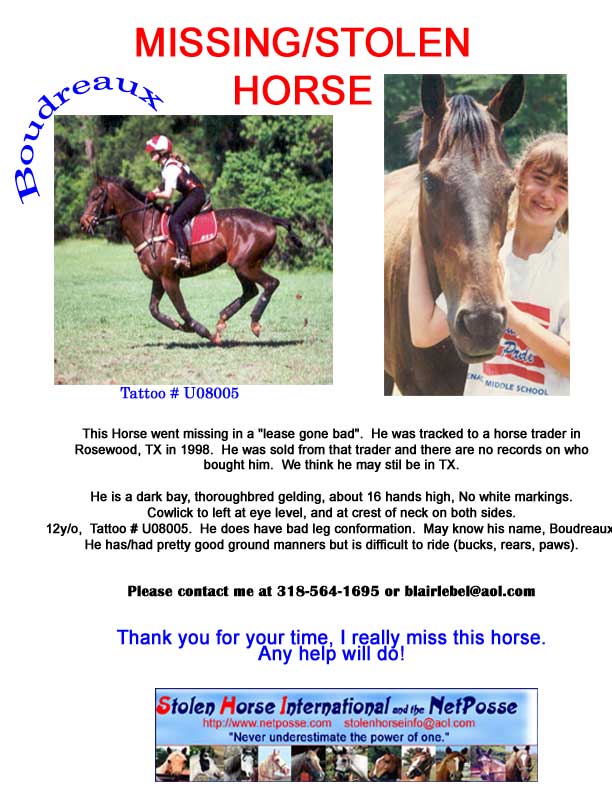 Click on Flyer to go to Main Page