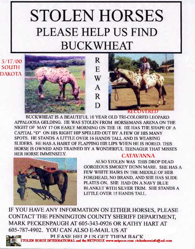 Click on Print to copy flyer.  Click on flyer to go to SHI main page.