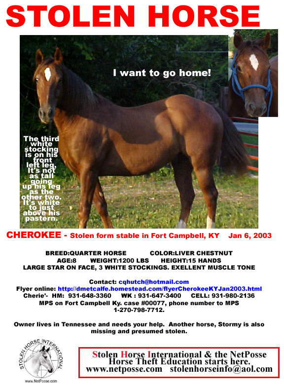 Click on PRINT to print flyer.  Click on flyer to go to SHI main page.