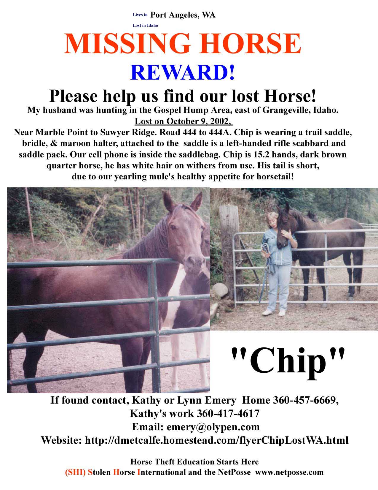 Click on Print button to print flyer. Click on flyer to go to SHI main page.