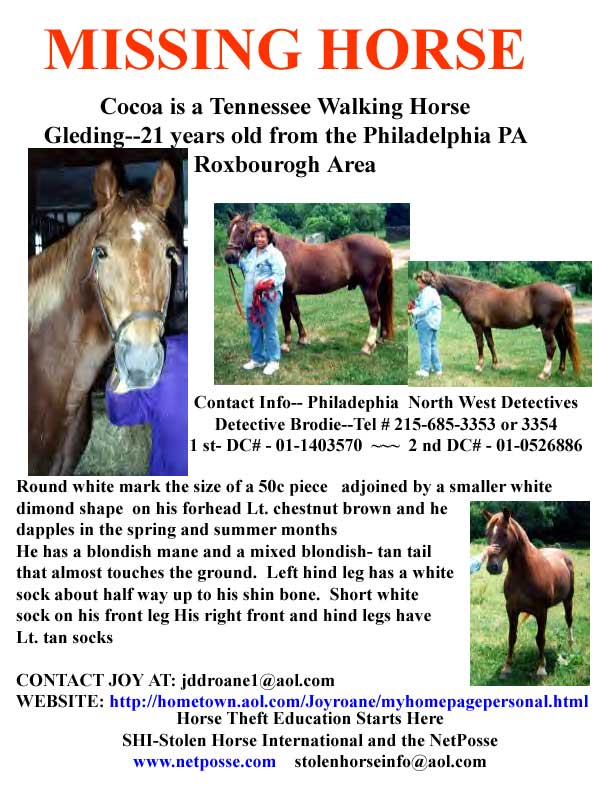 Click on PRINT to print flyer. Click on flyer to go to SHI home page.