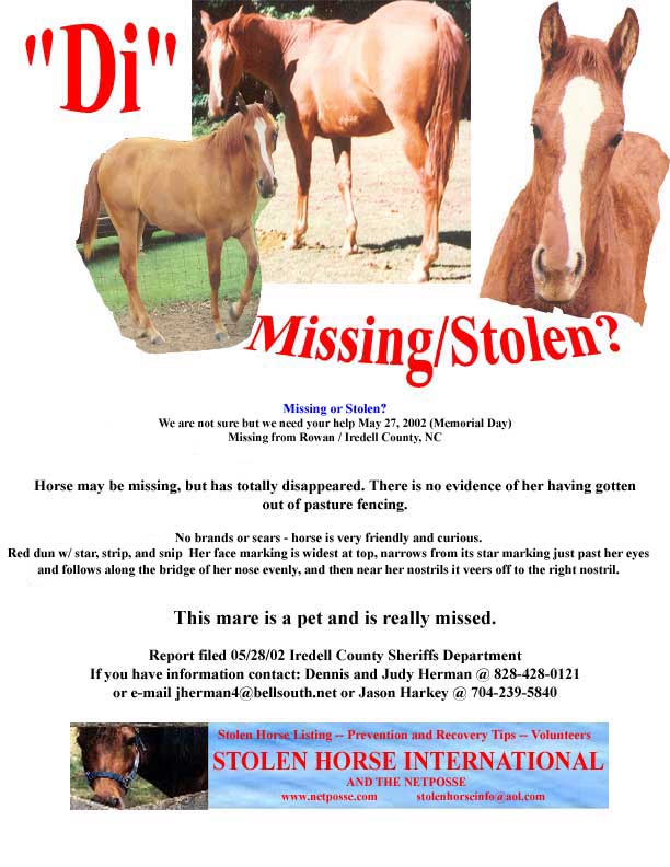 Click on flyer to go to stolen horse page.