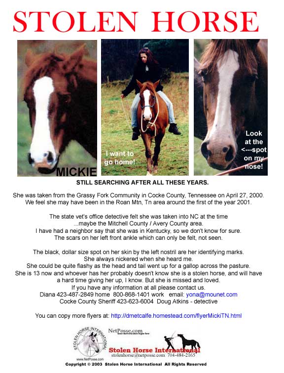 Click on Print to print flyer.  Click on flyer to go to SHI home page.