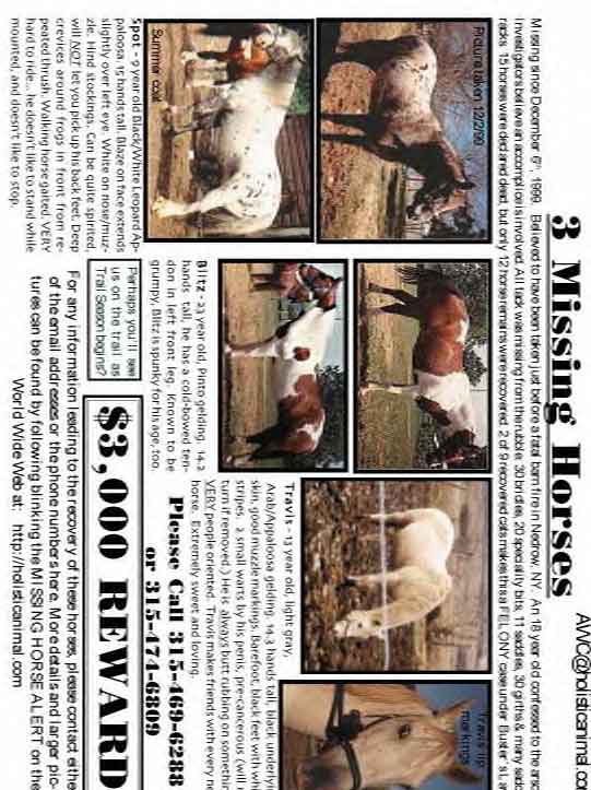 click flyer to go to home page